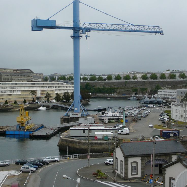 Grande grue