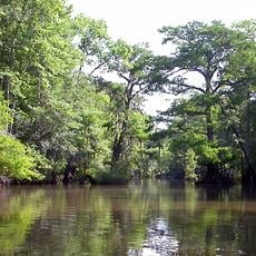 Bottle Creek Indian Mounds