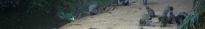 Panoramic View 0