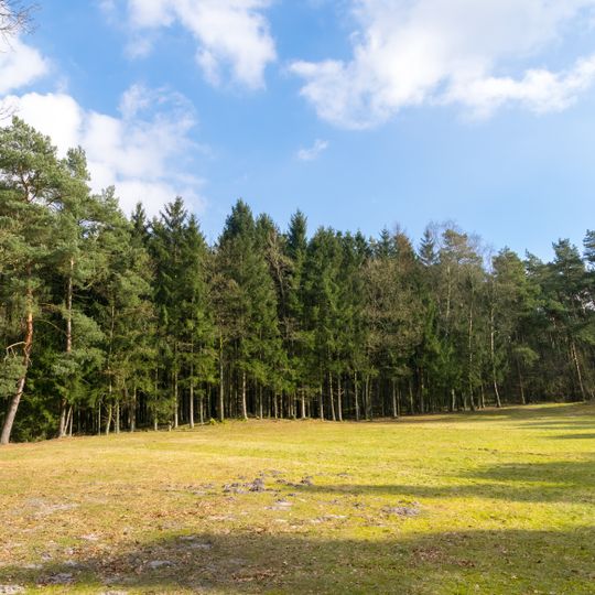 NSG Trockentaeler Kastentaeler und Duenen des oberen Westerholter Baches