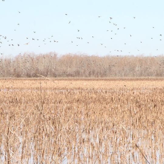 Grand Cote National Wildlife Refuge