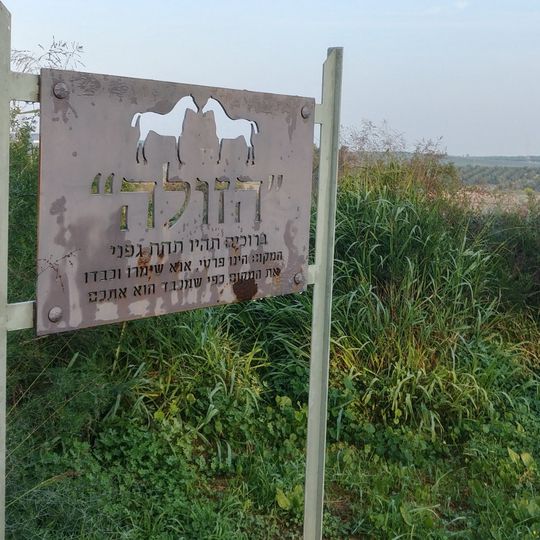 הזולה לסוסים