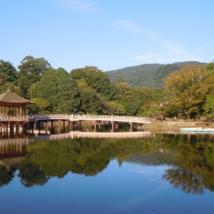 奈良公園
