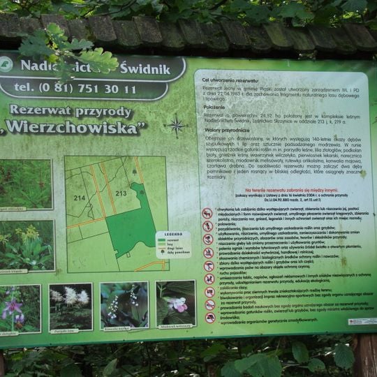 Wierzchowiska nature reserve