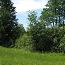 Erlwiesfilz, Bremstauden, Am Eschenbächel