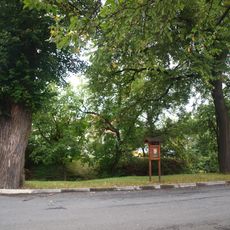 Lípy u Hrubého potoka