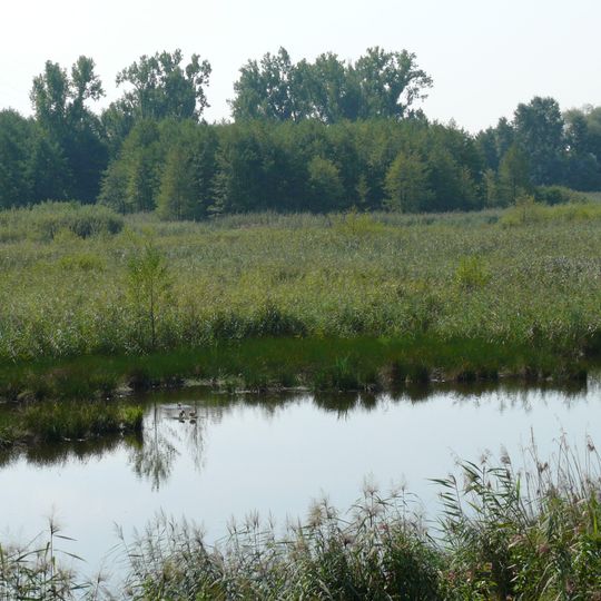 Federbachbruch zwischen Muggensturm und Malsch