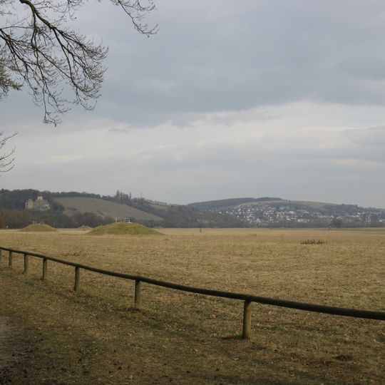 Schutz eines Landschaftsteils im Bereich der Stadt Schweinfurt und des Landkreises Schweinfurt