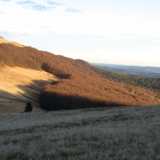 Lybohorivskyy Preserve
