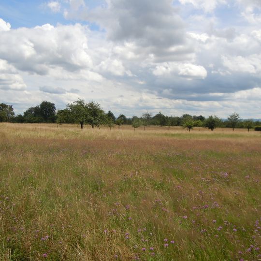 Weidach- und Zettachwald