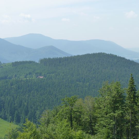 Smrčina
