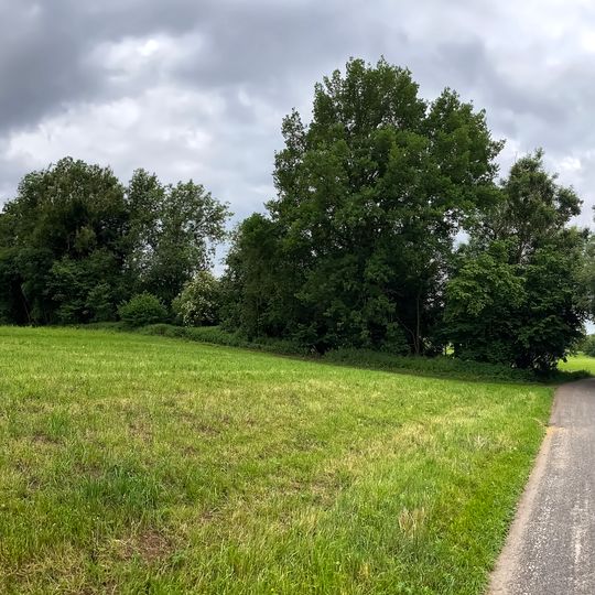 Feuchtgebiet Untere Breitwiesen