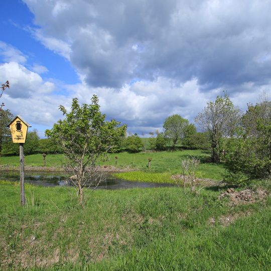 Wiese Freibergteich