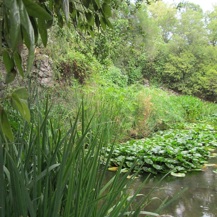 Cascade