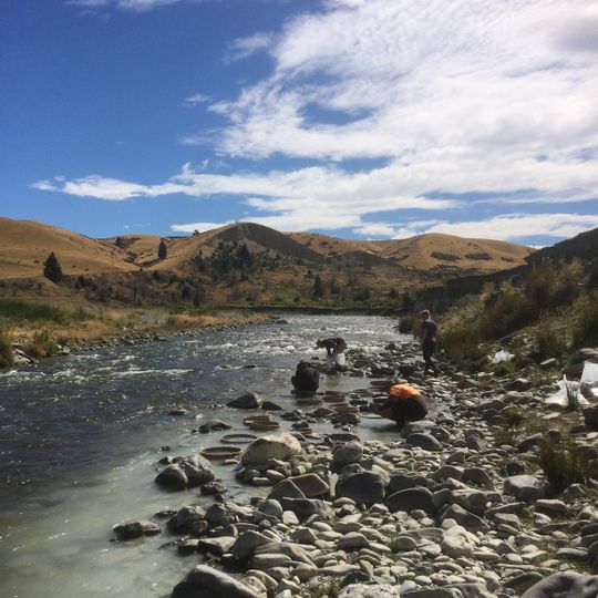 Bannockburn-formatie