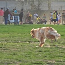Friends Field