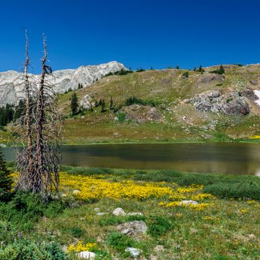 Locais naturais e históricos em Wyoming