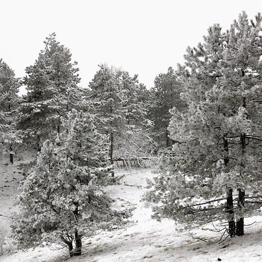 Zapovednik Kedrovaja Pad