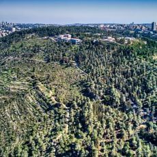 Herzl Tepesi
