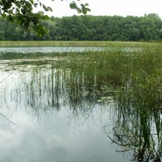 Linówko (Pojezierze Ińskie)