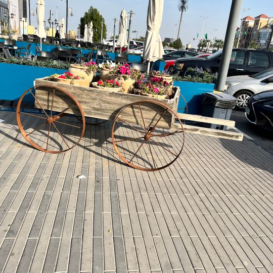 دار مبارك للماكولات البحرية والخليجية