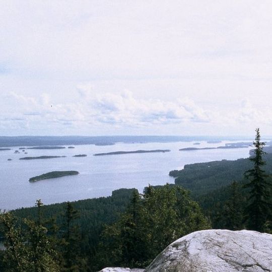 Koli