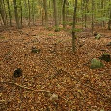 Großsteingrab Sachsenwald Fahrenhorst 3