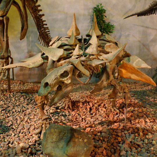 Wyoming Dinosaur Center