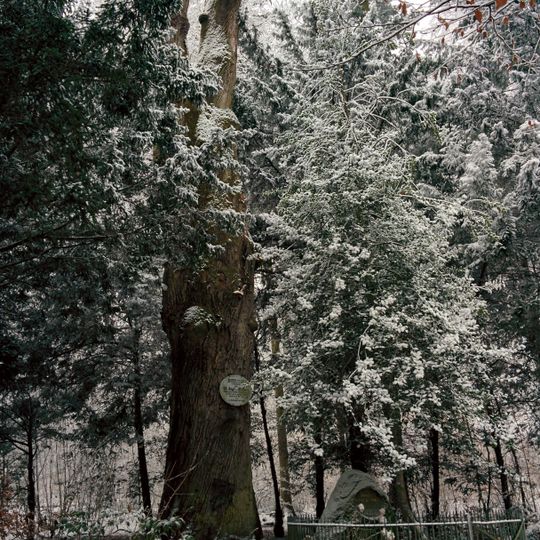 Klipsteingrab und Klipsteineiche