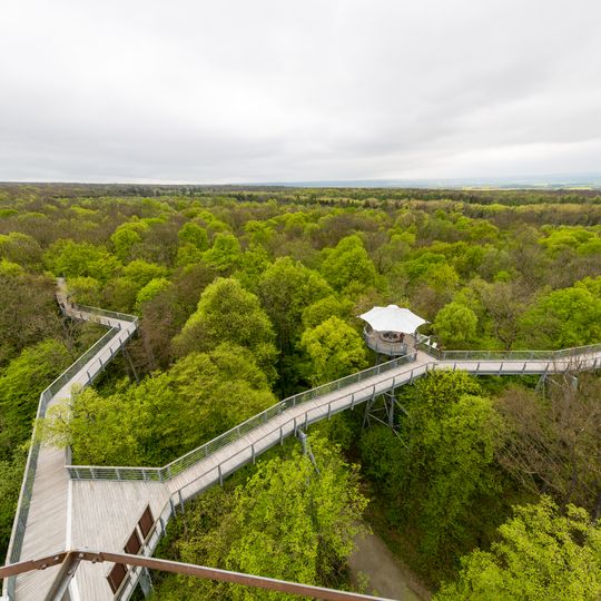 Parco nazionale di Hainich