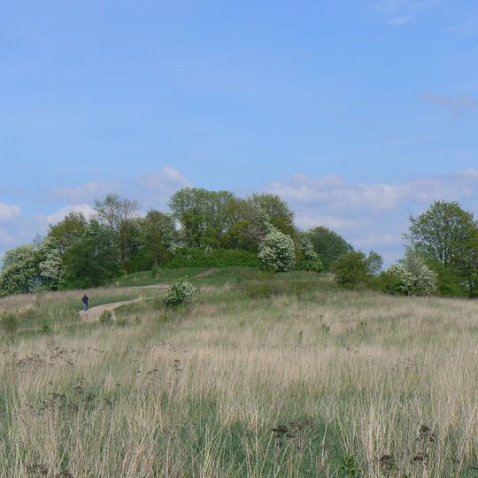 Žardės piliakalnis