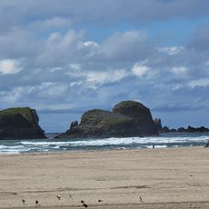 Chapman Beach
