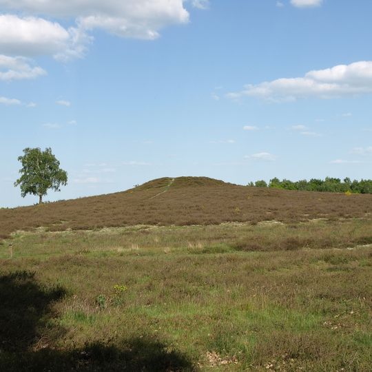 Bretziner Heide