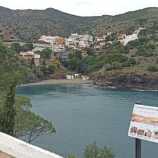 Punto di vista panoramico