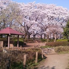 文理台公園
