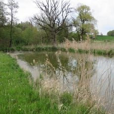 Amperauen mit Altwasser bei Palzing