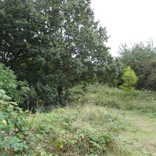 Barfield Allotments Nature Park