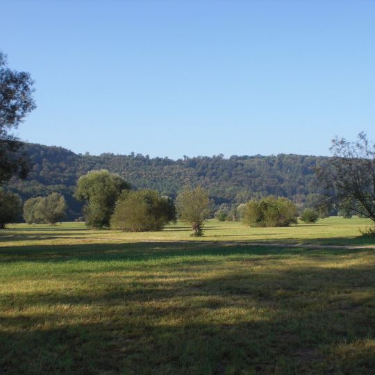 Enzaue bei Roßwag und Burghalde