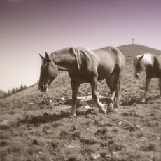 Roßkopf (Mangfallgebirge)