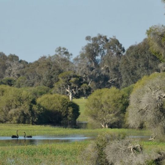 Whiteman Park