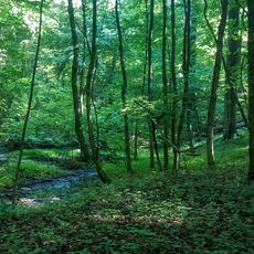 Nature reserve Debrza