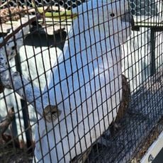 Wildlife Park Albany