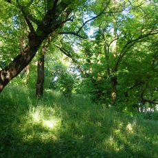Pozostałości parku (z całym wzgórzem)