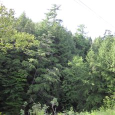 Rivière-du-Moulin Ecological Reserve