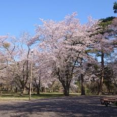 Tateno Kōen