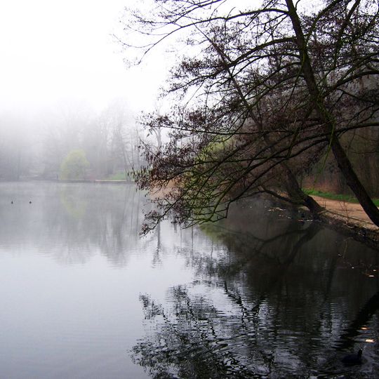 Bois de Saint-Cucufa