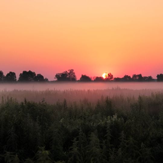 Parc national de la Soula inférieure