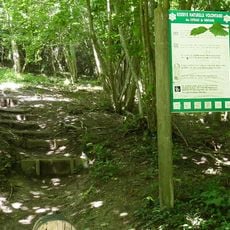 Réserve naturelle nationale des grottes et des pelouses d'Acquin-Westbécourt et des coteaux de Wavrans-sur-l'Aa