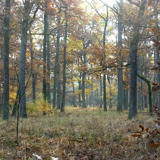 Rezerwat przyrody Dziki Ostrów