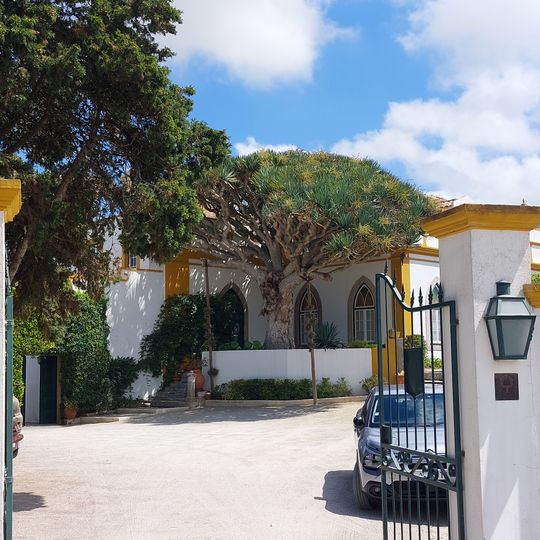 Árvore isolada em Casa do Castelo